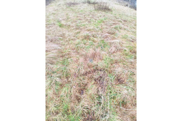 Rybnik, Plot for sale