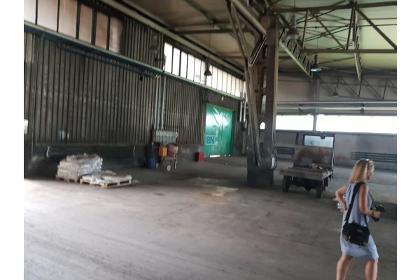 Katowice, Building for rent