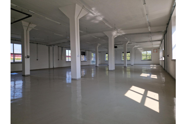 Gliwice, Wynajmę halę