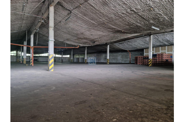 Zabrze, Hala do wynajęcia 3770mkw