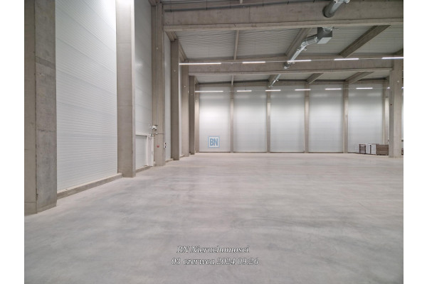 cieszyński, Cieszyn, Wynajmę hale produkcyjno-magazynowa