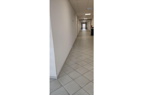 Zabrze, Premise for rent