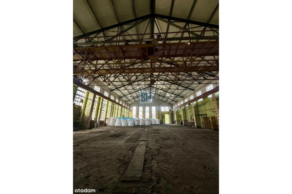 Dąbrowa Górnicza, Wynajmę hale
