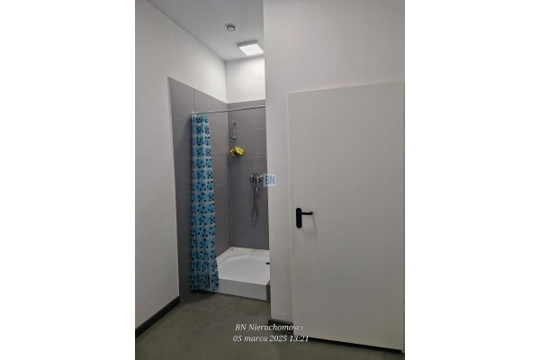 gliwicki, Pyskowice, Hala produkcyjną z działką 2ha