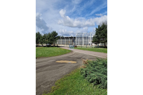 mikołowski, Mikołów, Orzesze, Hala magazynowa ,produkcyjna ,usługowa