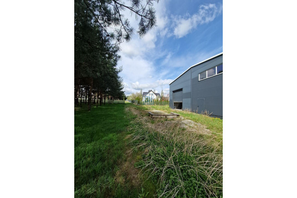 mikołowski, Mikołów, Orzesze, Hala magazynowa ,produkcyjna ,usługowa