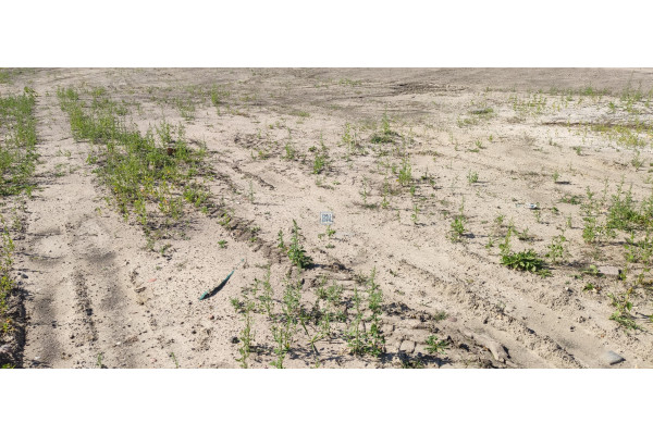 śląskie, tarnogórski, Zbrosławice, Karchowice, Sprzedam działkę budowlana w Karchowicach(gm.Zbrosławice).