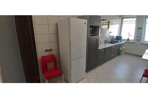 Zabrze, Lokal na wynajem