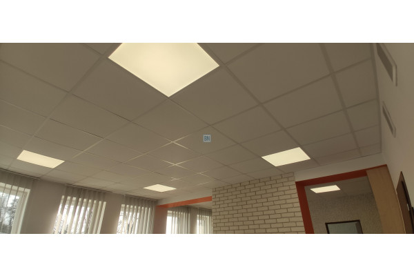 Zabrze, Lokal na wynajem