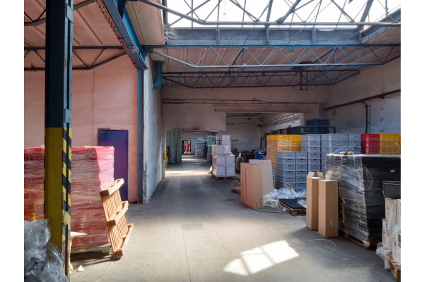 gliwicki, Knur&oacute;w, 5 Hal produkcyjno-magazynowych. Część lub całość