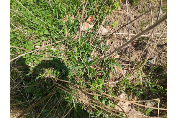 śląskie, Zabrze, Sprzedam działkę przemysłową w Zbarzu.