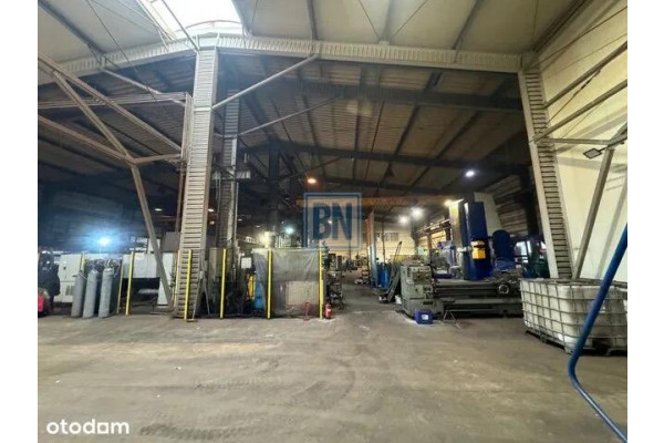 mikołowski, Mikoł&oacute;w, Hala magazynowo- produkcyjna