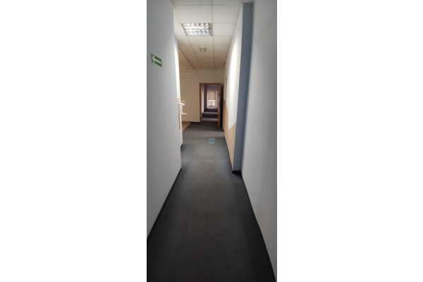 Gliwice, Lokal na wynajem