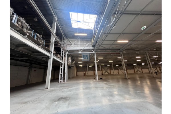 Zabrze, Super oferta Hala 6000 m2