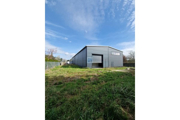 mikołowski, Mikoł&oacute;w, Orzesze, Hala magazynowa ,produkcyjna ,usługowa