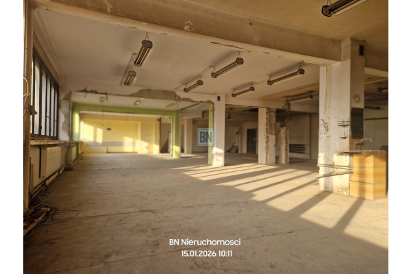 Zabrze, Hala nieogrzewana do wynajęcia