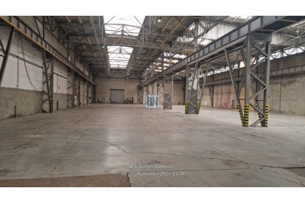 Zabrze, Hala magazynowa ,produkcyjna o powierzchni 5000m2
