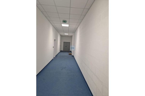 Gliwice, Wynajem magazyn - chłodnia 449 m2