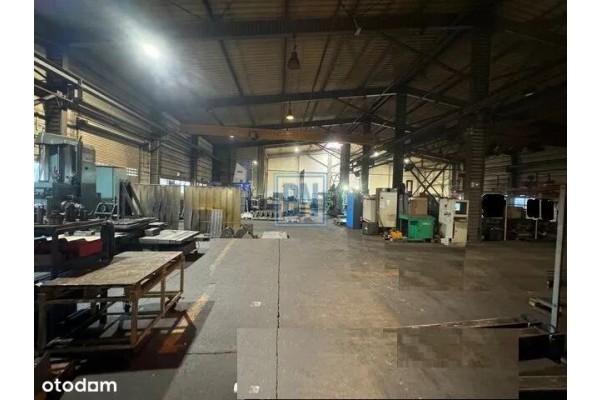 mikołowski, Mikoł&oacute;w, Hala magazynowo- produkcyjna