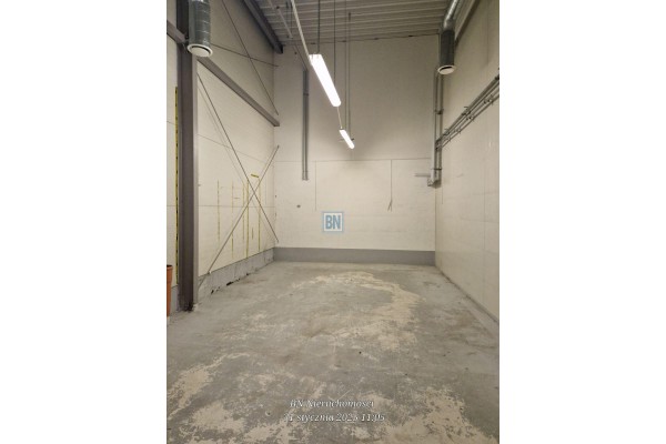 Ruda Śląska, Wynajmę halę magazynową