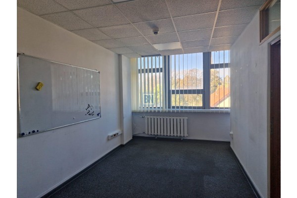 Zabrze, Wynajmę część biurowca