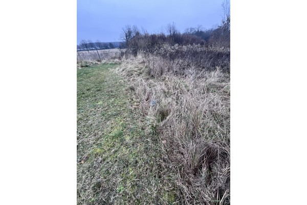 Gliwice, Duża działka w dobrej lokalizacji miasta