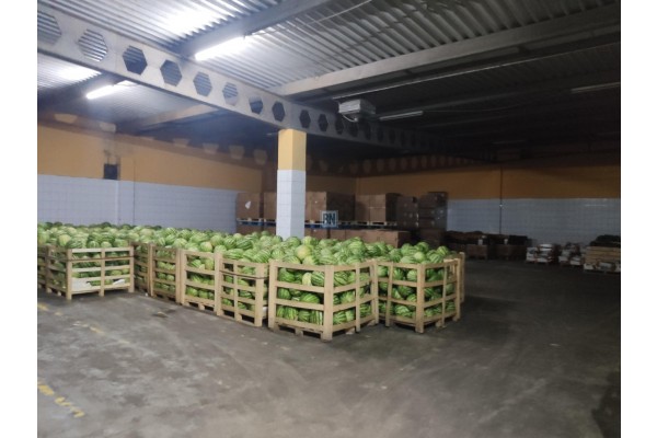 Świętochłowice, Wynajmę obiekt 1600 m kw,podpiwniczony,Świętochłowice.