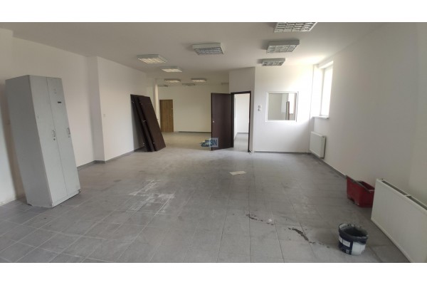 Zabrze, Tereny przemysłowe.