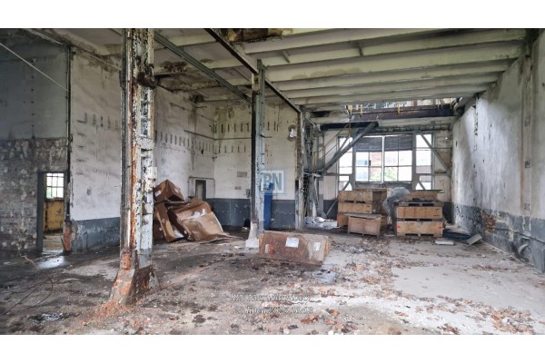 Zabrze, Hala prodykcyjno-magazynowa na sprzedaż