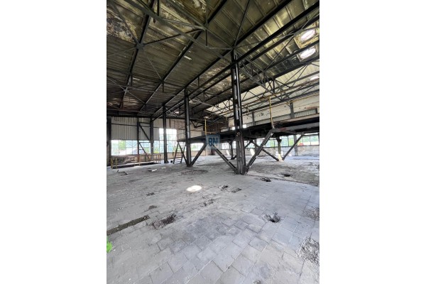 Zabrze, Hala prodykcyjno-magazynowa na sprzedaż