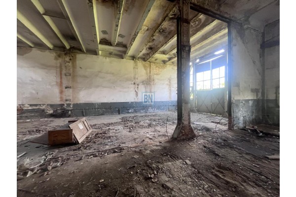 Zabrze, Hala prodykcyjno-magazynowa na sprzedaż