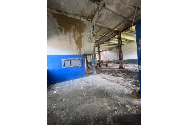 Zabrze, Hala prodykcyjno-magazynowa na sprzedaż