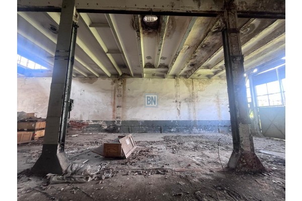 Zabrze, Hala prodykcyjno-magazynowa na sprzedaż