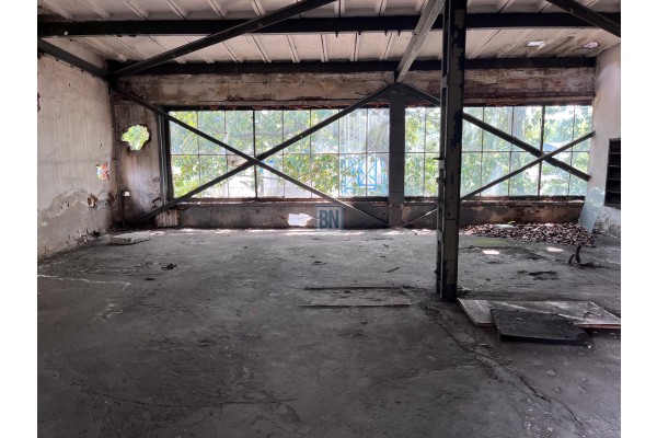 Zabrze, Hala prodykcyjno-magazynowa na sprzedaż