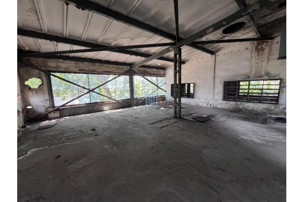 Zabrze, Hala prodykcyjno-magazynowa na sprzedaż