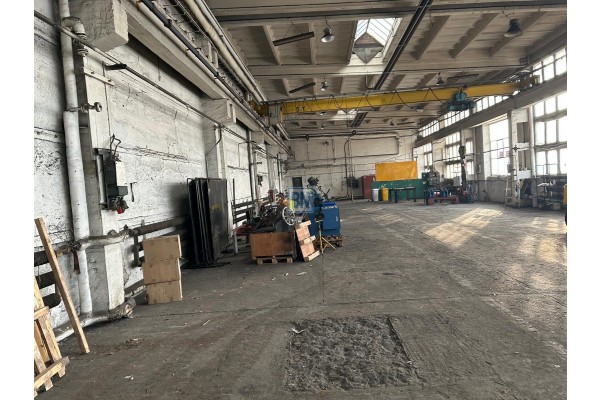 Mysłowice, Hala Myłśowice.