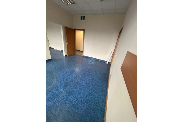 Gliwice, Lokal uzytkowy 421 m Gliwice.