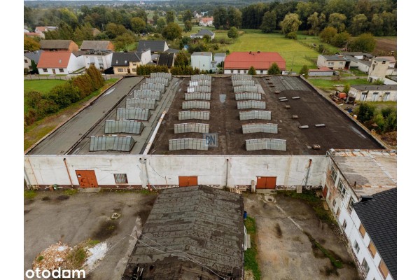 strzelecki, Ujazd, Hala magazynowa 11930 z biurem ,cześć so9cjalna