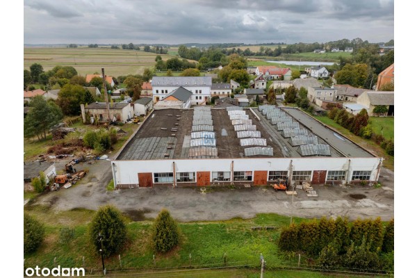 strzelecki, Ujazd, Hala magazynowa 11930 z biurem ,cześć so9cjalna
