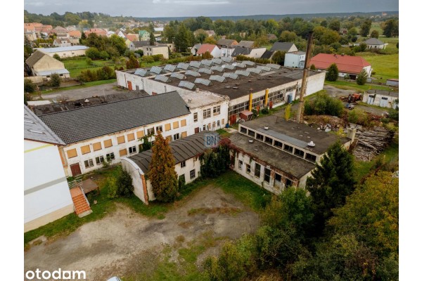 strzelecki, Ujazd, Hala magazynowa 11930 z biurem ,cześć so9cjalna