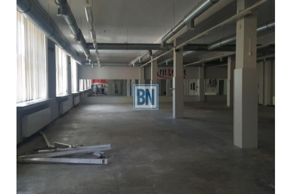 Zabrze, śląskie, Lokal na wynajem