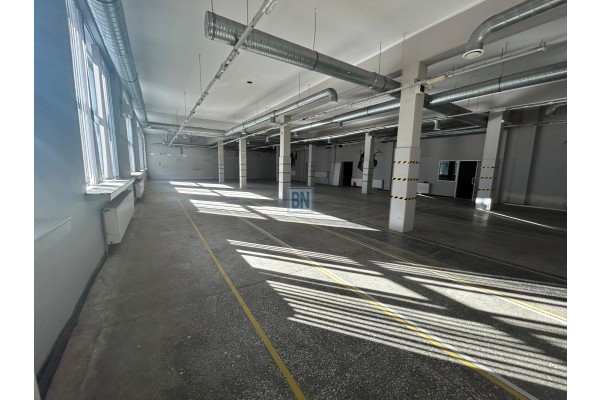 Zabrze, Wynajmę lokal użytkowy 845 m kw,  ew 500 m kw