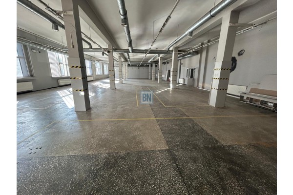 Zabrze, Wynajmę lokal użytkowy 845 m kw,  ew 500 m kw